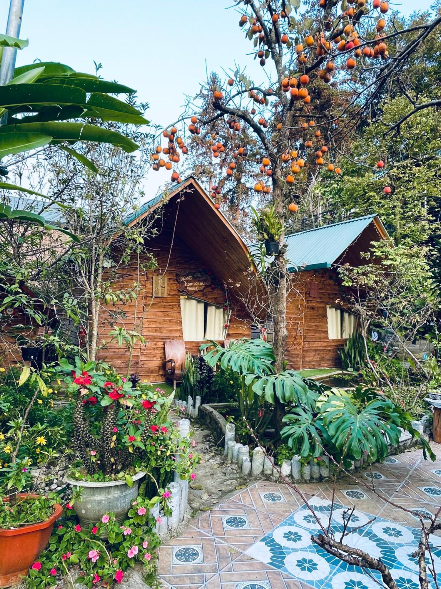 Nobita Homestay Bac Ha ภายนอก รูปภาพ